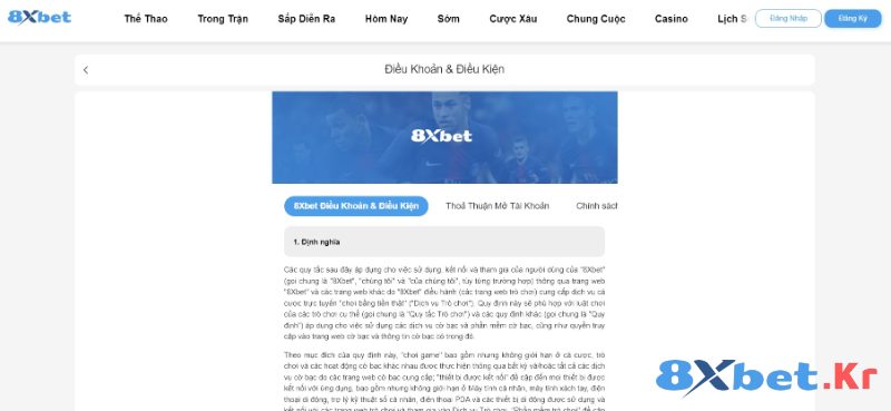 Tìm hiểu về điều khoản điều kiện 8Xbet