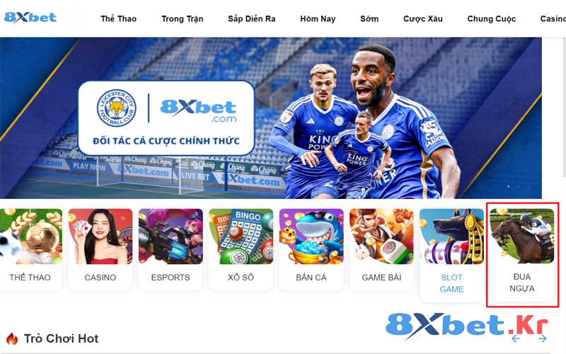 Cá cược đua ngựa tại 8Xbet