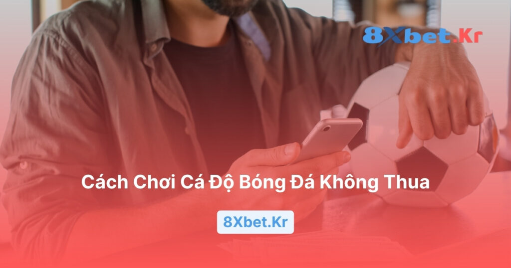 Cách chơi cá độ bóng đá không thua