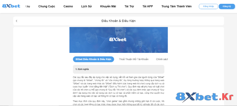 Điều kiện và điều khoản của đại lý 8Xbet